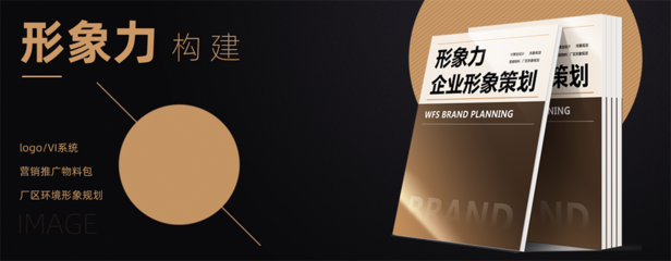 品牌形象設(shè)計(jì) 構(gòu)建企業(yè)視覺(jué)識(shí)別系統(tǒng)的全方位策略